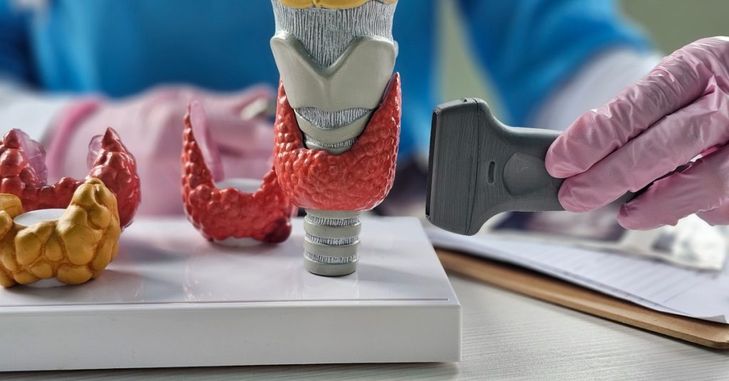 A medical professional wearing pink gloves is using an ultrasound scanner on some 3D printed models of a thyroid.